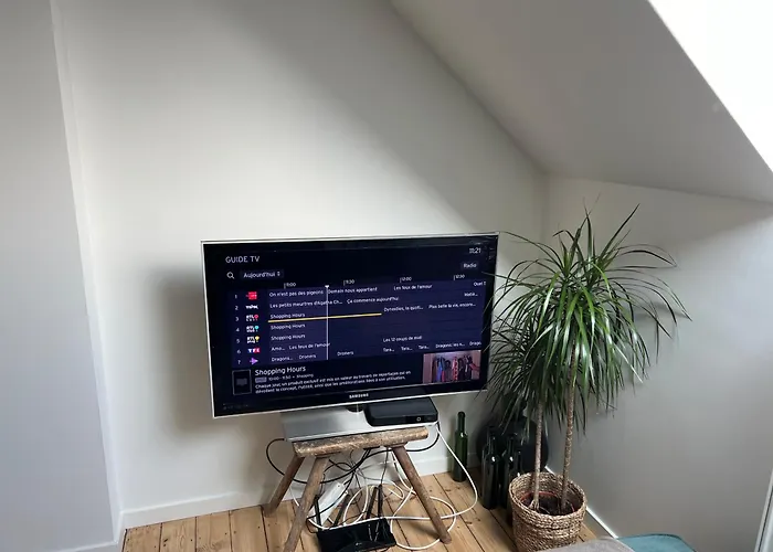 Cosy Nest